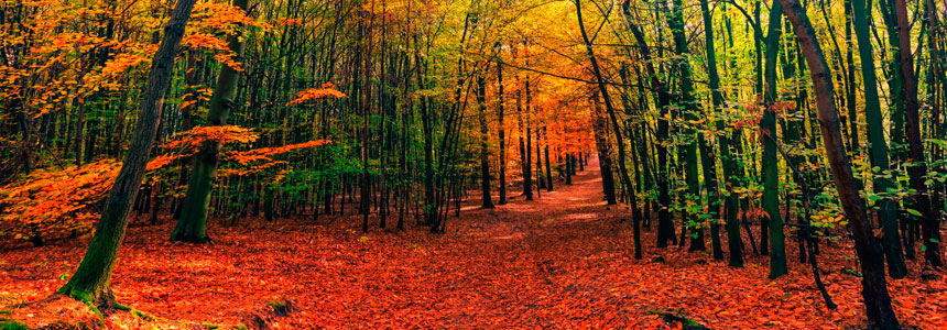 duenenhaus-herbst-herbstzeit-am-strand-an-der-ostsee-juliusruh-ruegen